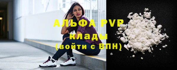 стаф Абаза