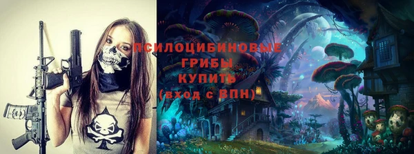 дживик Абинск