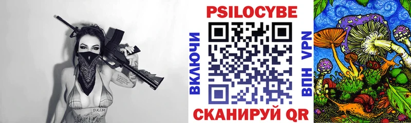 закладка  Щёлково  Псилоцибиновые грибы мицелий 